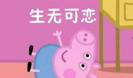 动画小猪吃瓜视频大全,动画小猪吃瓜视频大全集锦