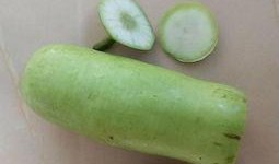 高血压吃葫芦瓜好吗,养生又降压