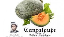 苏比吃瓜,揭秘娱乐圈背后的秘密与真相