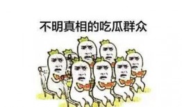凌遥吃瓜群众,吃瓜群众的视角，揭秘娱乐圈风云