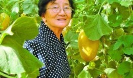 王清华吃瓜,揭秘娱乐圈幕后故事