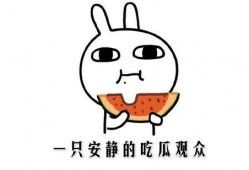 黑料吃瓜事件,真相与谣言的交织