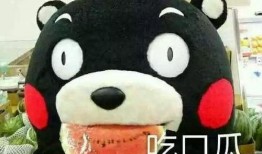 怎么高级的表达吃瓜,解锁高级“吃瓜”艺术