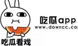 黑料吃瓜事件,真相与谣言的交织