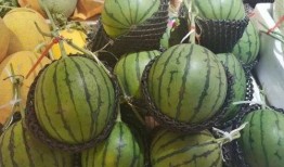 小陈吃瓜号,揭秘娱乐圈那些不为人知的幕后故事