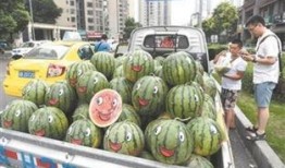 吃瓜群众吃西瓜视频