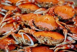 螃蟹吃高瓜吗,探究它们对高瓜的喜爱程度