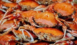 螃蟹吃高瓜吗,探究它们对高瓜的喜爱程度