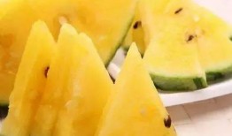 关于吃瓜的题目,揭秘吃瓜群众的趣味与智慧