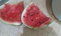 吃新疆瓜的视频,一场视觉与味蕾的双重盛宴