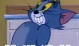 璐璐睡不着吃瓜,揭秘娱乐圈最新瓜料