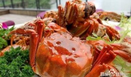 螃蟹吃高瓜吗,探究它们对高瓜的喜爱程度