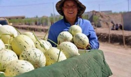 啤酒群众吃瓜视频,欢乐氛围下的趣味瞬间