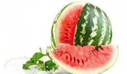 徐师傅吃瓜英语,吃瓜英语的趣味探索