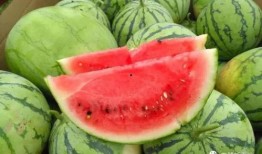 莲上涂成吃瓜,揭秘网络热词背后的趣味与哲理