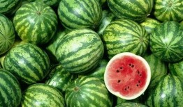 吃瓜购买地址,轻松解锁夏日美味新选择