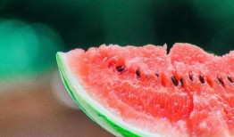 吃瓜的白某,吃瓜群众的视角揭秘娱乐圈风云