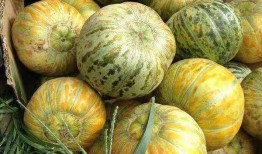 大兄弟吃瓜,揭秘娱乐圈幕后故事