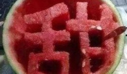 这些奇葩名字带你吃瓜,揭秘那些让人捧腹的奇葩名字背后的故事