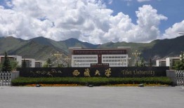 西藏大学吃瓜视频,揭秘校园生活趣味瞬间