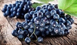 吃葡萄瓜的好处,滋养身心，健康生活必备佳果