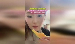 猫猫吃哈密瓜好处,健康益处大盘点