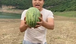 大兄弟吃瓜,揭秘娱乐圈幕后故事