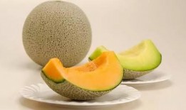 吃冰达人吃黄河蜜瓜