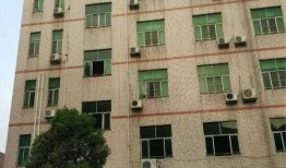 广东职业学院吃瓜,校园吃瓜文化一瞥