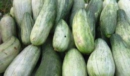 老瓜还能这么吃,探索无尽美味新境界