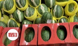 沈阳师范吃瓜视频,揭秘校园幕后趣闻