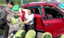 武汉的瓜 吃瓜群众,吃瓜群众的狂欢盛宴