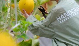 吃瓜观众好热情,热议娱乐圈风云